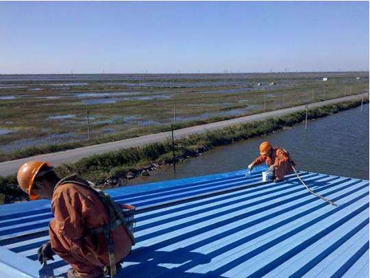 ��ʲô�x��ͩ�Ƿ�ˮ�a©����